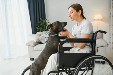 Tekerlekli sandalye servisi köpek vasıl ev ile genç kadın