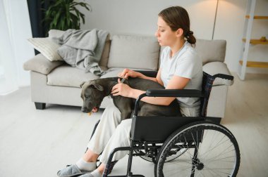 Tekerlekli sandalye servisi köpek vasıl ev ile genç kadın