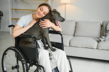 Genç kadın ile köpek kapalı tekerlekli sandalyede.