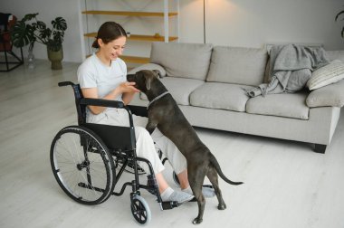 Tekerlekli sandalye servisi köpek vasıl ev ile genç kadın.