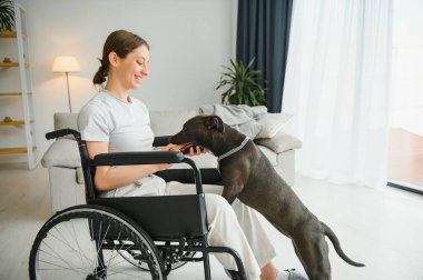Tekerlekli sandalye servisi köpek vasıl ev ile genç kadın