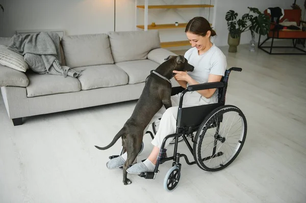 Young Woman Wheelchair Service Dog Home — Stock Photo, Image