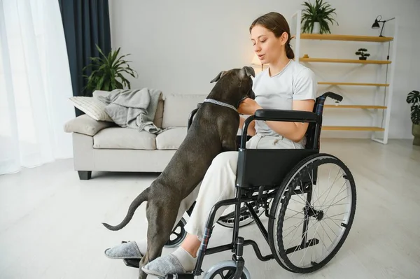 Mladá Žena Invalidním Vozíku Asistenční Pes Doma — Stock fotografie