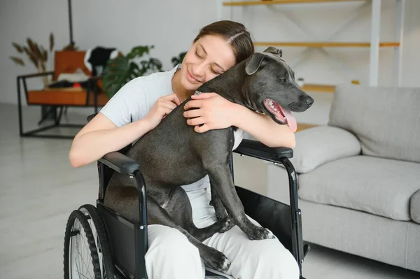 Young woman in wheelchair with service dog at home.