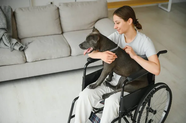Young Woman Wheelchair Dog Indoors — Stock Photo, Image