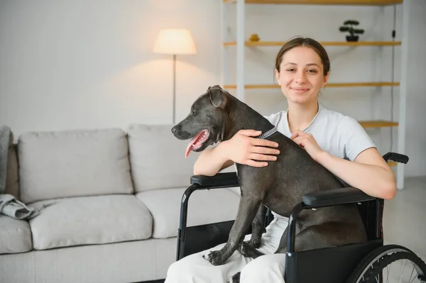 Young woman in wheelchair with service dog at home