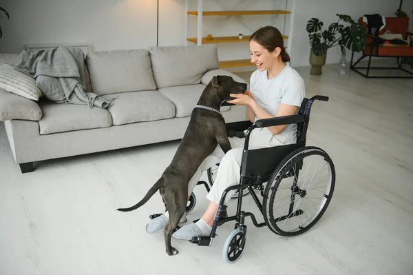 Jovem Cadeira Rodas Com Cão Serviço Casa — Fotografia de Stock