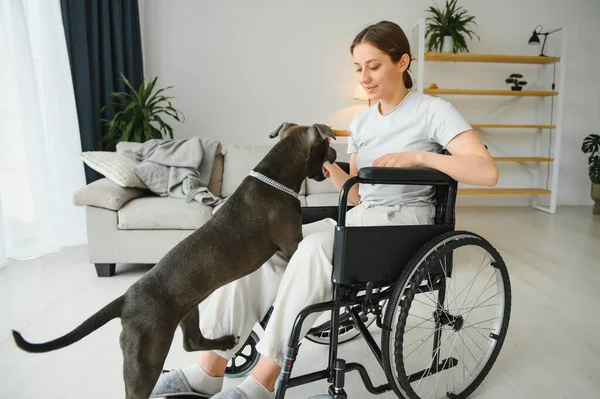 Jovem Cadeira Rodas Com Cão Serviço Casa — Fotografia de Stock