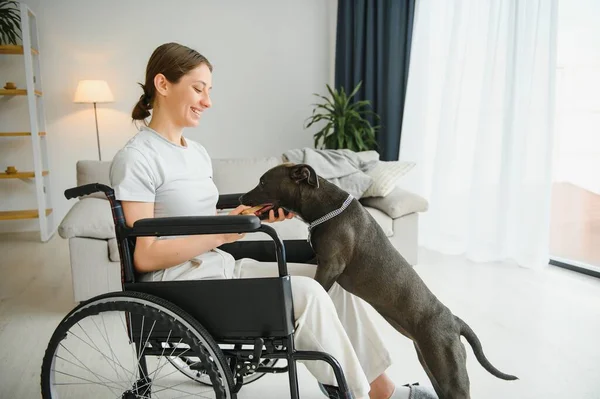Νεαρή Γυναίκα Στο Αναπηρικό Καροτσάκι Σκύλος Στο Σπίτι — Φωτογραφία Αρχείου