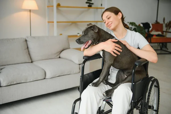 Young Woman Wheelchair Service Dog Home — Stock Photo, Image