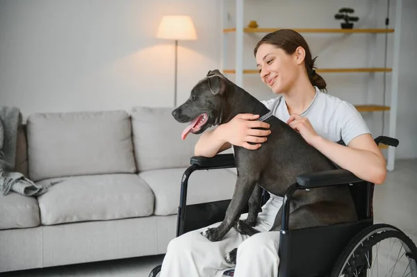 Young woman in wheelchair with service dog at home