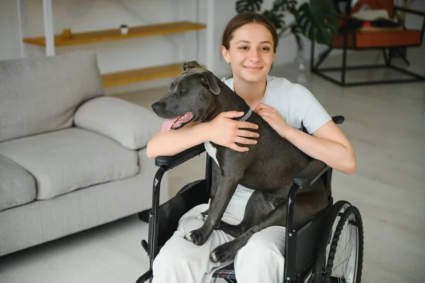 Young woman in wheelchair with service dog at home
