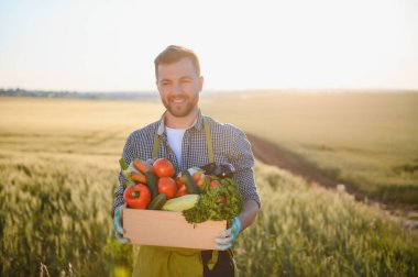 Bir kutu sebze toplayan çiftçi..
