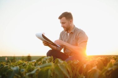 Soya tarlasında çiftçi. Açık havada büyümek