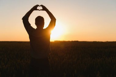 Olgun buğday tarlasında tek başına duran bir adam. Eller yukarı ve parmaklar kalp şeklinde. Yaz sonu ya da sonbahar başında hasat zamanı. Buğdayların arasında çiftçi tarım uzmanı.