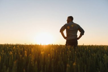 Gün batımında bir tarladaki güzel manzaraya bakan bir adamın silueti.