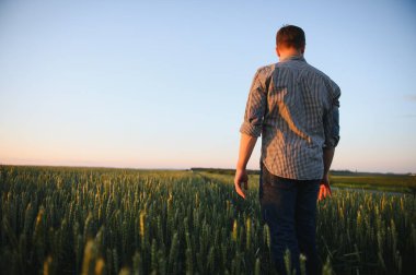 Gün batımında bir tarladaki güzel manzaraya bakan bir adamın silueti.