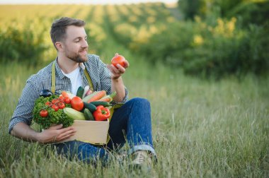 Elinde bir kutu taze sebzeyle tarlasında yürüyen bir erkek çiftçi. Sağlıklı Yeme ve Taze Sebze.