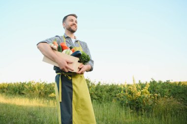 Bir kutu sebze toplayan çiftçi..