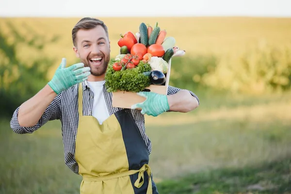 Мужчина Фермер Держит Коробку Овощами Поле — стоковое фото