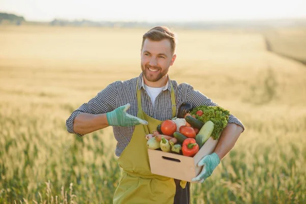 Muž Farmář Krabicí Čerstvé Zeleniny Kráčí Jejím Poli Zdravá Výživa — Stock fotografie