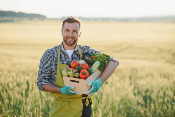 Mannelijke Boerenbox Met Groenten Het Veld — Stockfoto