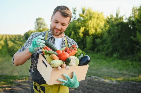 Farmer Hands Holding Wooden Box Different Vegetables — Stockfoto