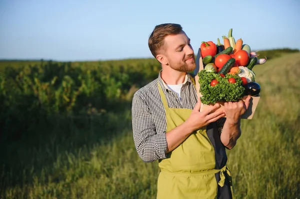 Male farmer holding box with vegetables in field.