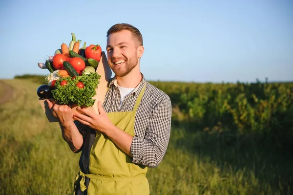 Farmer Carrying Box Picked Vegetables — Stock Photo, Image