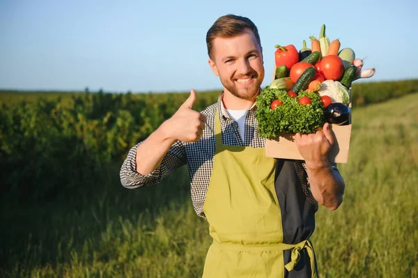 Mężczyzna Rolnik Gospodarstwa Pole Warzywami Polu — Zdjęcie stockowe