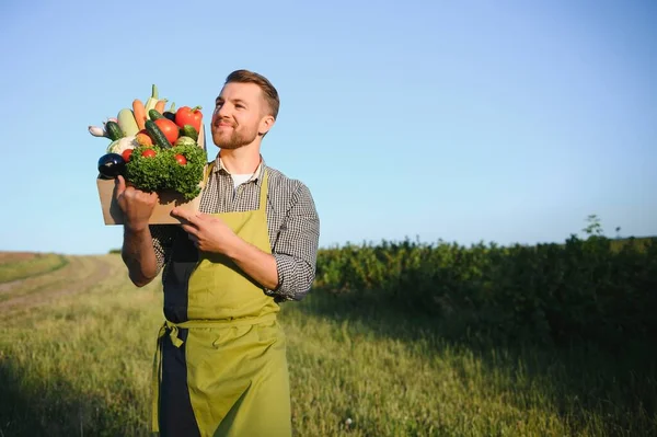 Samec Farmář Drží Box Zeleninou Poli — Stock fotografie