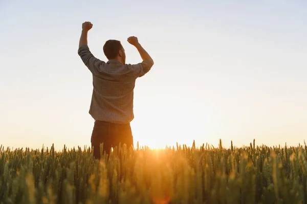 Back View Adult Man Farmer Stand Alone Look Sunset Sunrise — Stock Photo, Image