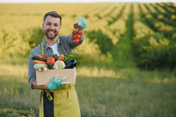 Een Mannelijke Boer Met Een Doos Verse Groenten Loopt Haar — Stockfoto