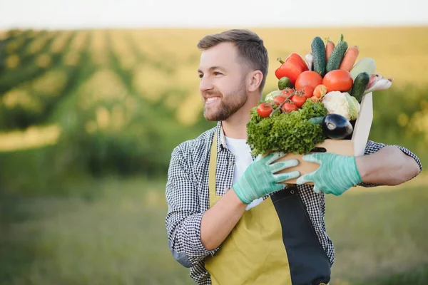 Αγρότης Που Έχει Ένα Κιβώτιο Βιολογικά Λαχανικά Στη Φάρμα Ευτυχής — Φωτογραφία Αρχείου