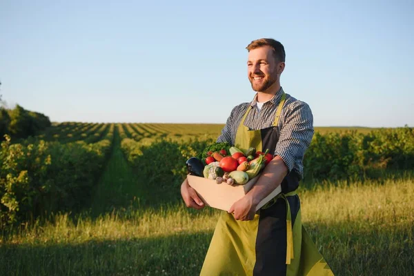 Landwirt Mit Einer Kiste Biogemüse Auf Dem Hof Glücklicher Mann — Stockfoto