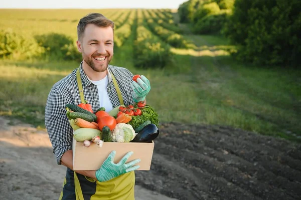 Contadino Con Una Scatola Verdure Fresche Cammina Lungo Suo Campo — Foto Stock