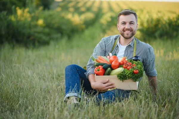 farmer holding a crate of bio vegetables in the farm. Happy man showing box of harvested vegetables