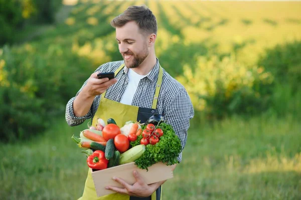 farmer holding a crate of bio vegetables in the farm. Happy man showing box of harvested vegetables