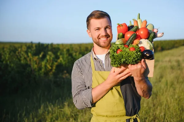 Trälåda Fylld Färska Grönsaker — Stockfoto