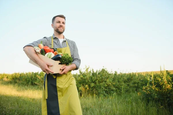 Agricoltore Che Trasporta Scatola Verdure Raccolte — Foto Stock