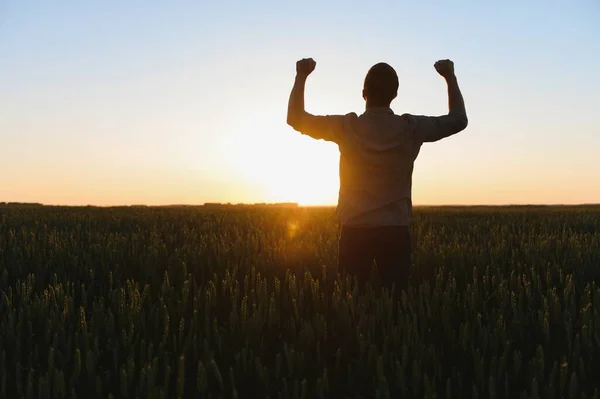 Silhouette Man Looking Beautiful Landscape Field Sunset — Stock Photo, Image