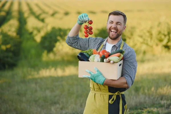 Boeren Handen Houden Houten Doos Met Verschillende Groenten — Stockfoto