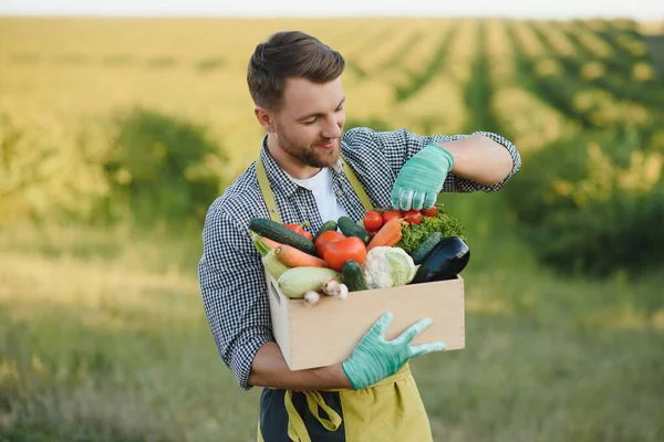 Agricoltore Che Trasporta Scatola Verdure Raccolte — Foto Stock