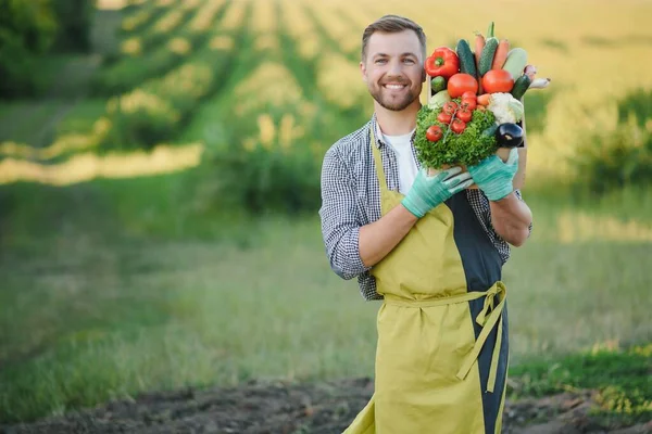 Muž Farmář Krabicí Čerstvé Zeleniny Kráčí Jejím Poli Zdravá Výživa — Stock fotografie