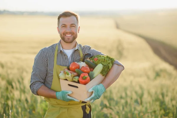 Agricoltore Che Trasporta Scatola Verdure Raccolte — Foto Stock