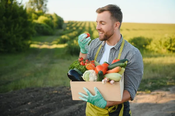 Agricoltore Che Trasporta Scatola Verdure Raccolte — Foto Stock