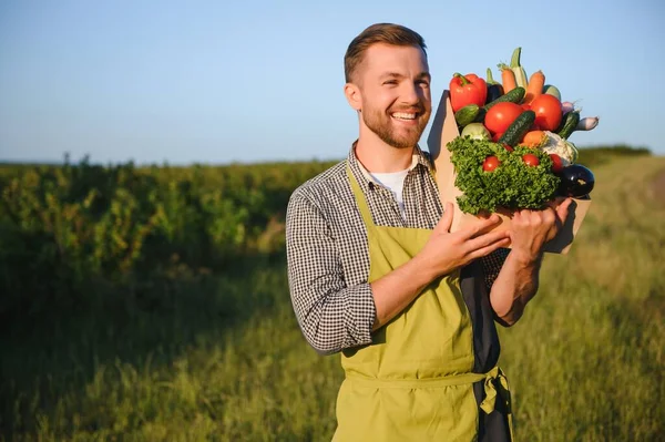Male Farmer Holding Box Vegetables Field — Stockfoto