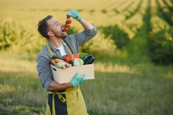 Rolnik Trzymający Skrzynkę Bio Warzyw Farmie Szczęśliwy Człowiek Pokazując Pudełko — Zdjęcie stockowe