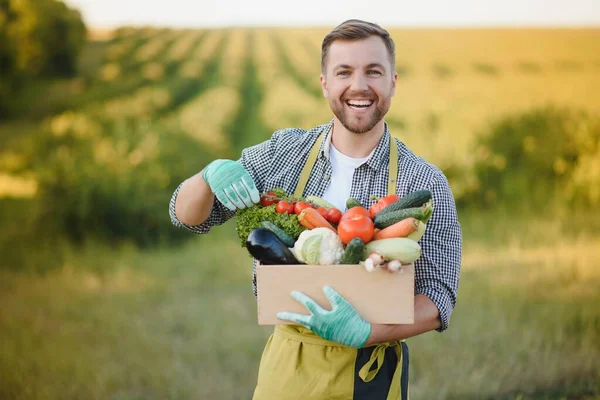 在农场里拿着一箱生物蔬菜的农民 快乐的男人展示一盒收获的蔬菜 — 图库照片