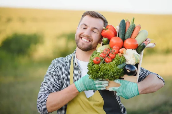 Agricoltore Che Detiene Una Cassa Ortaggi Biologici Azienda Uomo Felice — Foto Stock